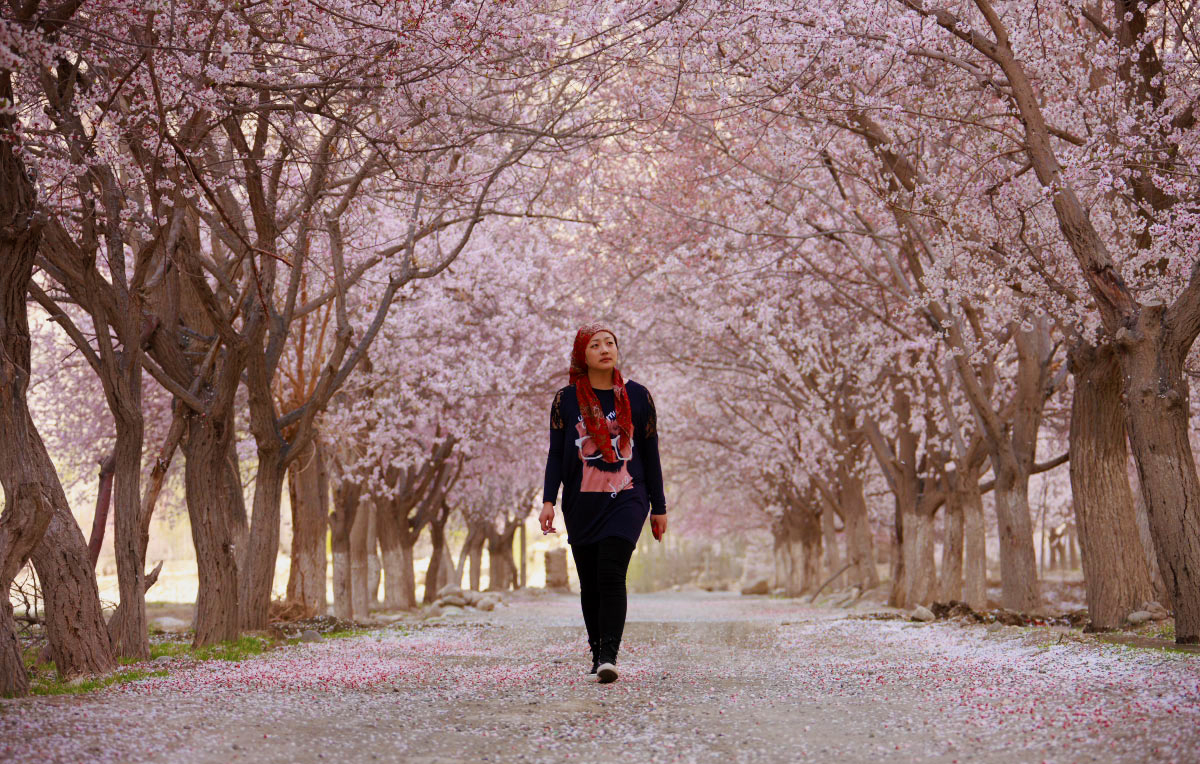 【行摄南疆】3-4月:帕米尔杏花 早春小团越野车 深度行摄之旅 7天6晚